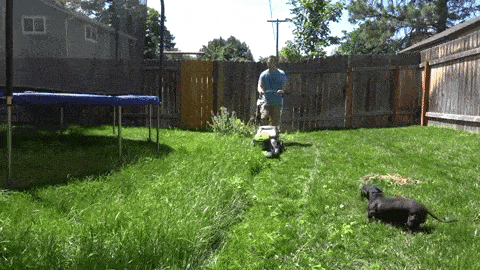ELectric-Mower