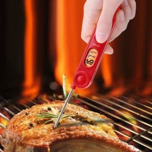 ThermoPro-TP03-Digital-Instant-Read-Meat-Thermometer