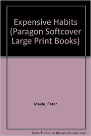 Expensive-Habits-Paragon-Softcover-Large-Print-Books