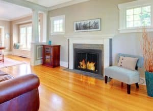 Pleasant-Hearth-Fireplace-Glass-Door
