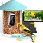 Netvue Birdfy Smart Bird Feeder