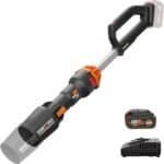 WORX WG543 20V LeafJet