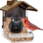 Wasserstein Bird Feeder Camera Case